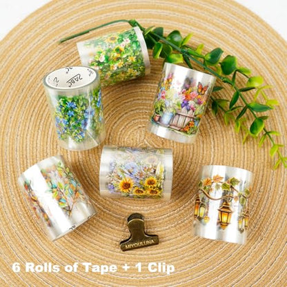 Deep Lane in Bloom PET Pre (6 Count)