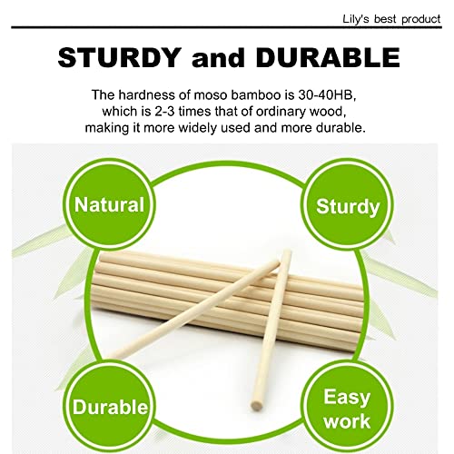 25PCS Bamboo Dowel Rods (25 Count)