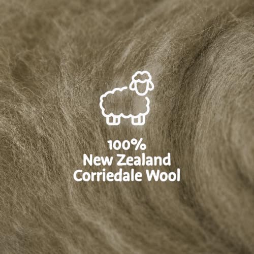 Wool Roving Kit for Needle Felting