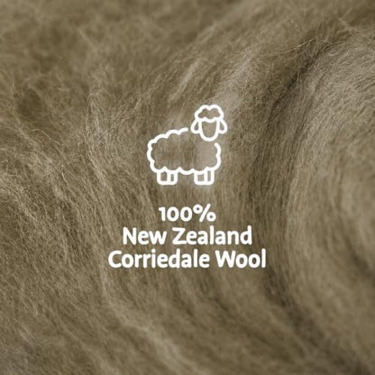 Wool Roving Kit for Needle Felting