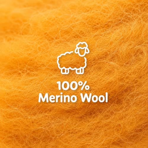 Wool Roving Kit for Needle Felting