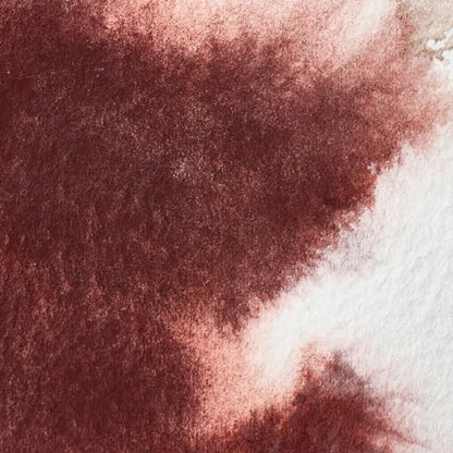 Professional Watercolor