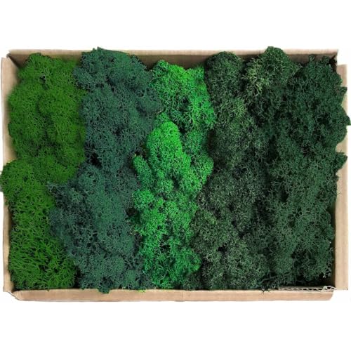 Preserved Reindeer Mix Craft Moss Natural Green DIY Kit Gardenning Art Wall Decor Florist Easter Table Decor Wedding Decor