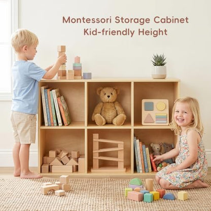 6 Cube Storage Organizer