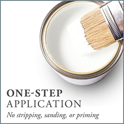 Chalk Based One Step Paint for Furniture (32 Fl Oz)