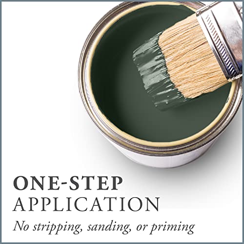 Chalk Based One Step Paint for Furniture (16 Fl Oz)