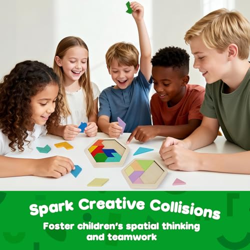 5 Pack Wooden Puzzle Set