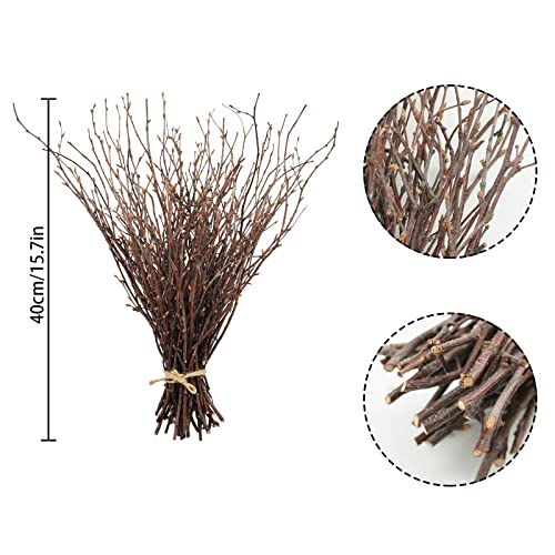 50PCS Birch Twigs (50 Count)