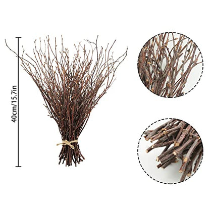 50PCS Birch Twigs (50 Count)