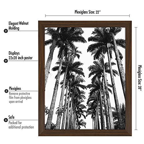 22x28 Poster Frame