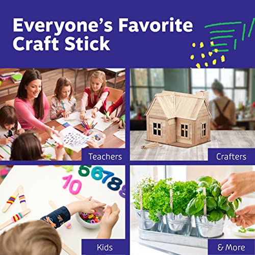 1000 Popsicle Sticks (1000 Count)