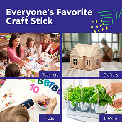 1000 Popsicle Sticks (1000 Count)