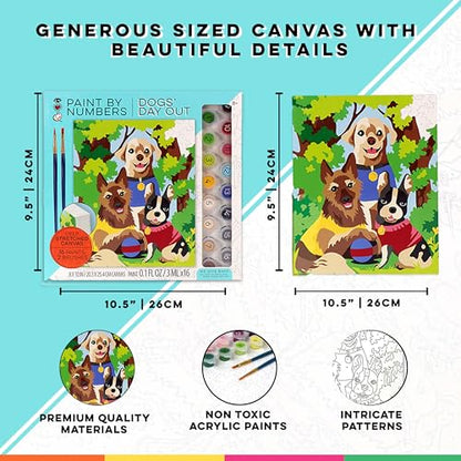 iHeartArt Paint by Numbers Kit