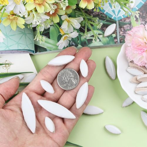 200g White Mosaic Tiles (7.05 Ounce)