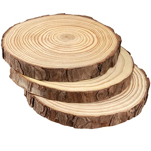 8 PCS 7 7.9 Inches Natural Unfinished Wood Slices (8 Count)