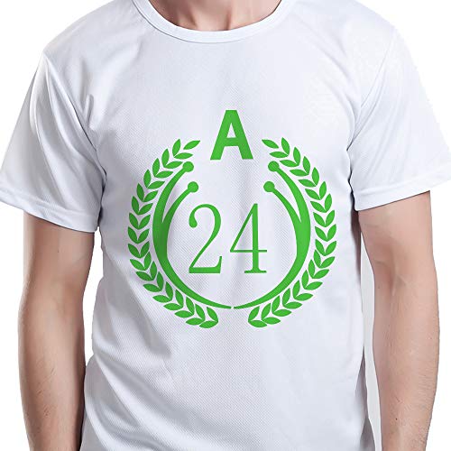 RENLITONG Heat Transfer Vinyl (10 Foot)