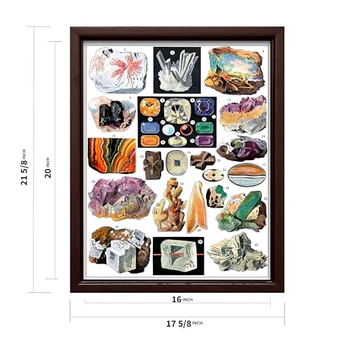 Vintage Geology Canvas