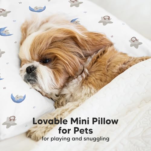 Mini Toddler Pillow with Pillowcase
