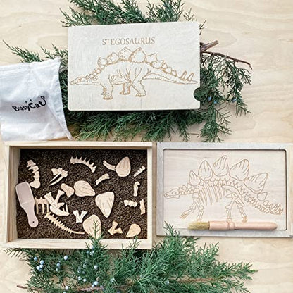 Dinosaur Excavation Archaeology Dig Kit for Kids