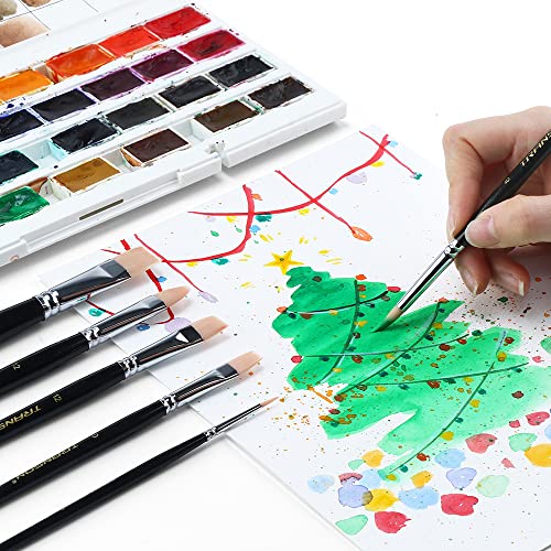 Paint Brush Set 6pcs Art Painting Flexible Bristle for Acrylic Watercolor Gouache Oil Leather Canvas and Face Painting (6 Count)