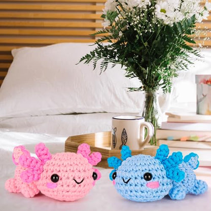 Crochet Kit for Beginners (2 Count)