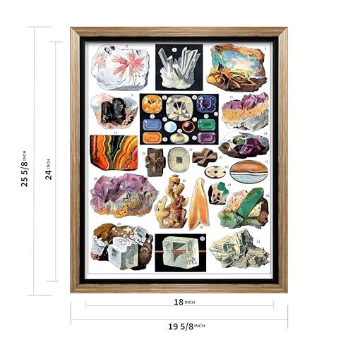 Vintage Geology Canvas