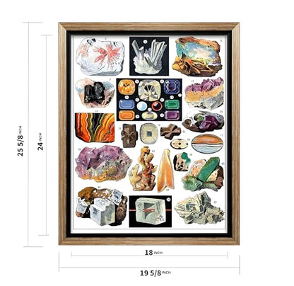 Vintage Geology Canvas