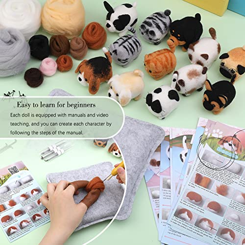 Needle Felting Kit