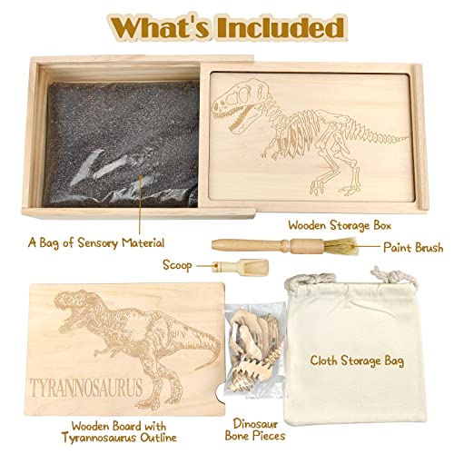 Dinosaur Excavation Archaeology Dig Kit for Kids