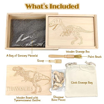 Dinosaur Excavation Archaeology Dig Kit for Kids