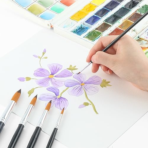 11pcs Round Paint Brush Basic Set for Watercolor (11 Count)
