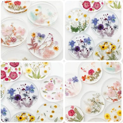Resin Coaster Molds (6 Count)