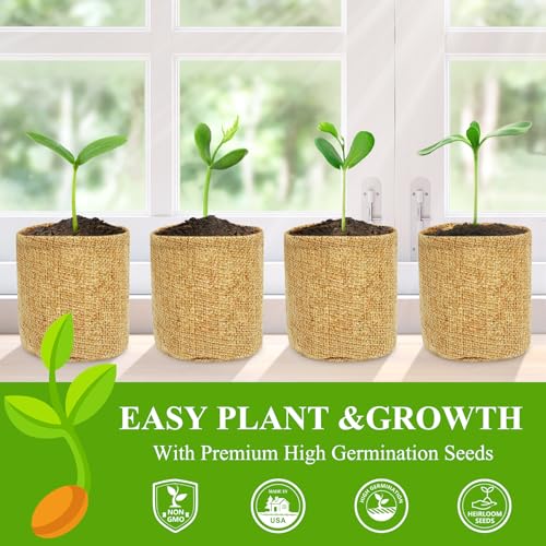 Indoor Herb Garden Kit