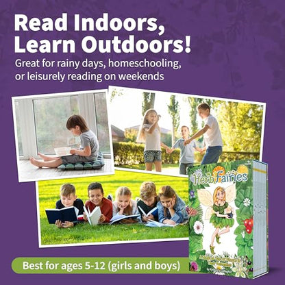 Herb Fairies 13 Plant Story Books Set (13 Count)