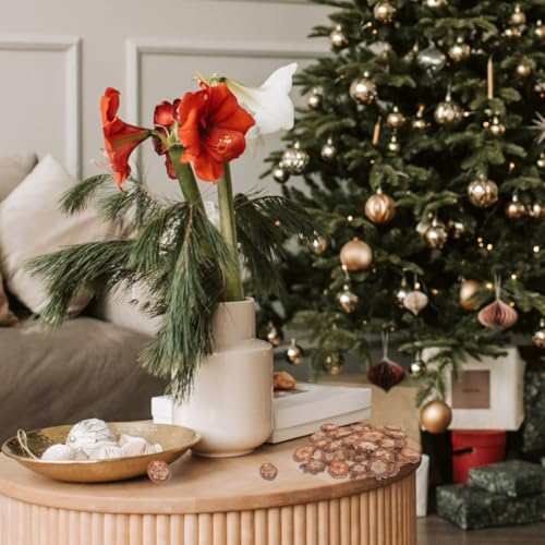 Wood Slices Small Unfinished Wood Natural Tree Bark Irregular Log Slices for Crafts Arts Table Centerpieces Decoration