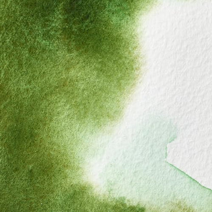 Professional Watercolor