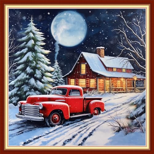 Stamped Cross Stitch Kits Full Range of Embroidery Needlework Starter Kits for Beginners Adults 11CT Embroidery Patterns Art Crafts DIY Needlepoint Kits