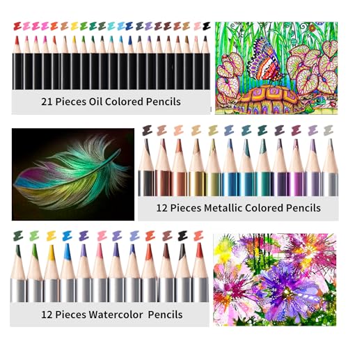 81 Drawing Set Sketching Kit (81 Count)