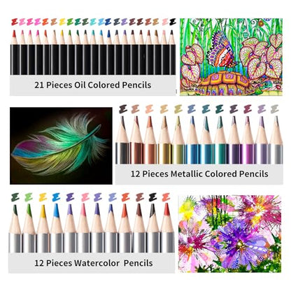 81 Drawing Set Sketching Kit (81 Count)