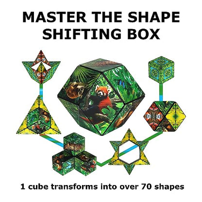 DODECA Magnetic Puzzle Cube