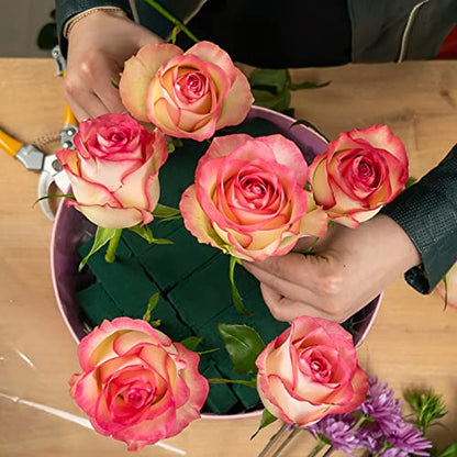 Floral Foam Blocks