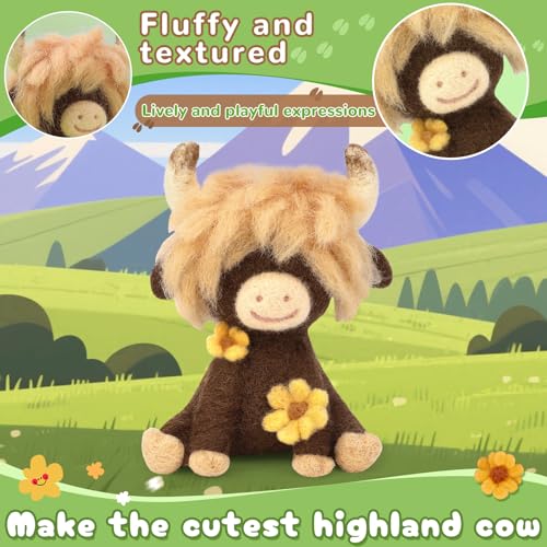 Needle Felting Kit Beginners Wool Felting Supplies Kits