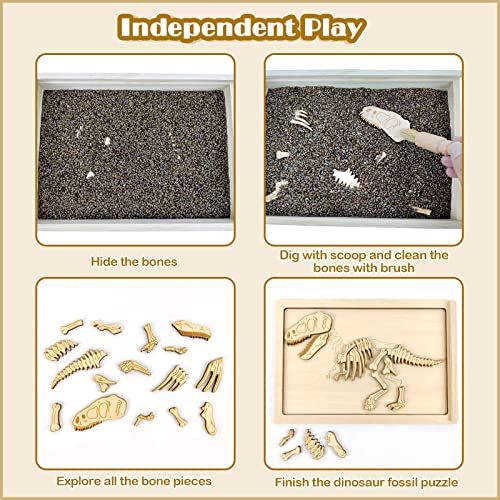 Dinosaur Excavation Archaeology Dig Kit for Kids
