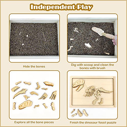 Dinosaur Excavation Archaeology Dig Kit for Kids