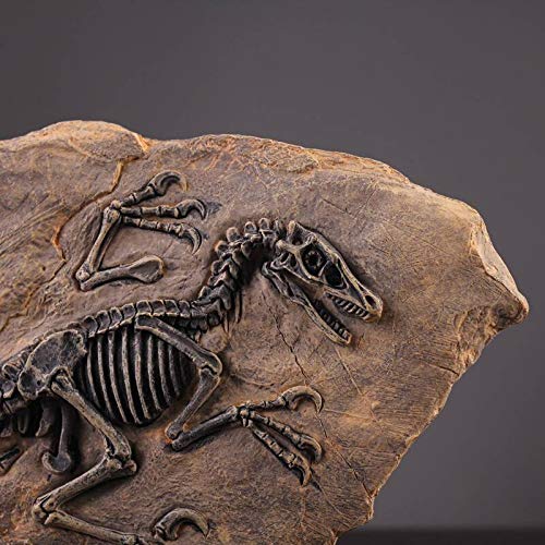 Resin Dinosaur Fossil Statue Model Simulated Skeleton Home Office Display Decorative Craft Box Decoration