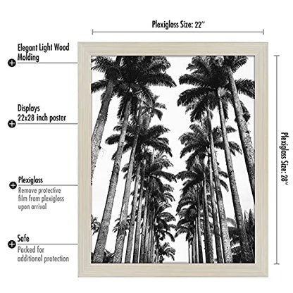 22x28 Poster Frame