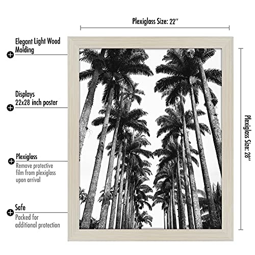 22x28 Poster Frame