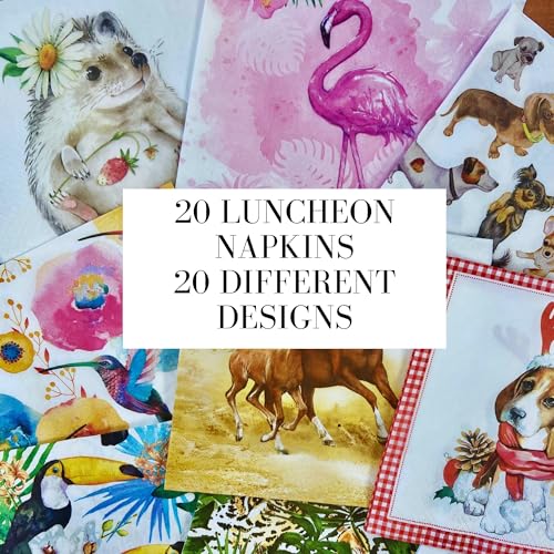 Mystery Pack Decoupage Paper Napkins (20 Count)