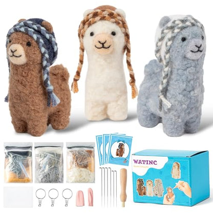 Needle Felting Kit