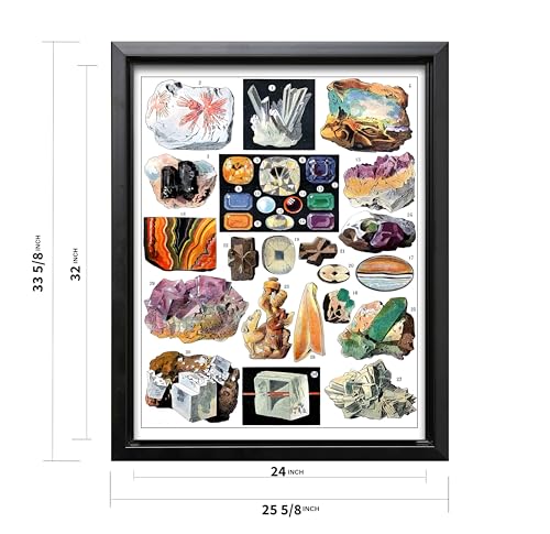 Vintage Geology Canvas